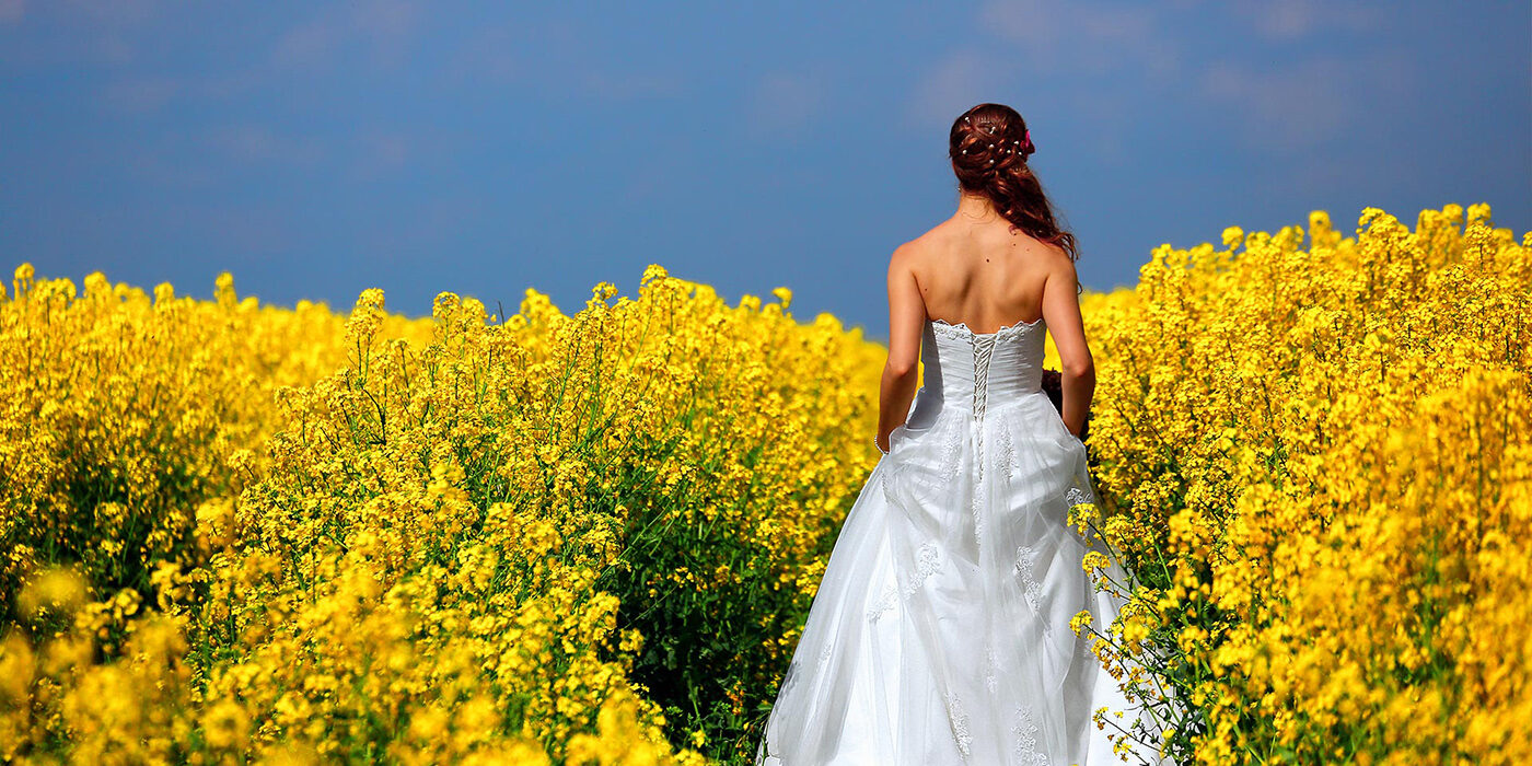 BRAUN media GmbH – Hochzeitsfotograf in Paderborn, Bild 4