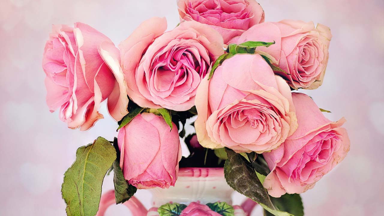 Nahaufnahme eines Brautstraußes mit rosa Rosen als Hochzeitsdekoration und Symbol der Hochzeitsfeier.